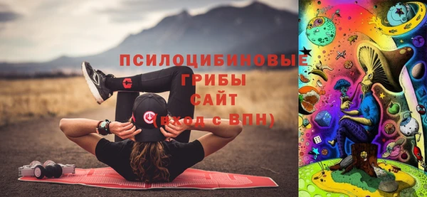 ALPHA-PVP Горнозаводск